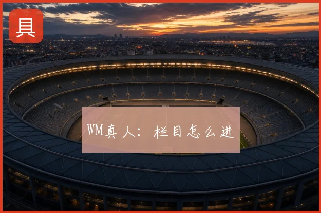 WM真人：栏目怎么进