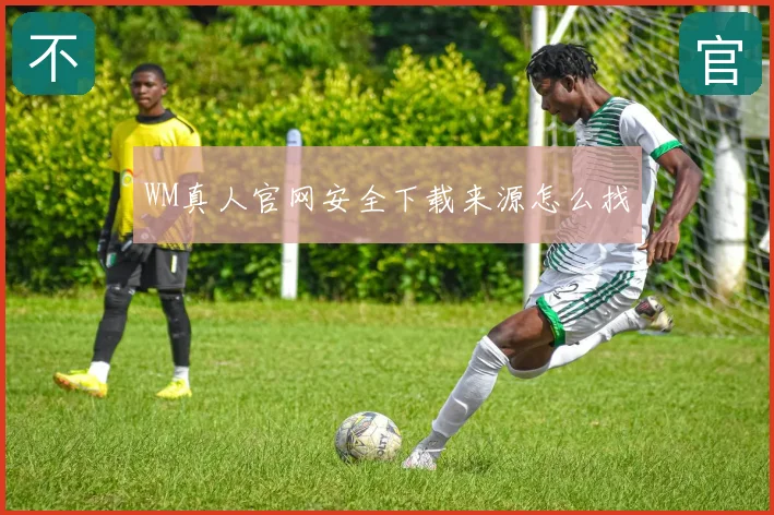 WM真人官网安全下载来源怎么找