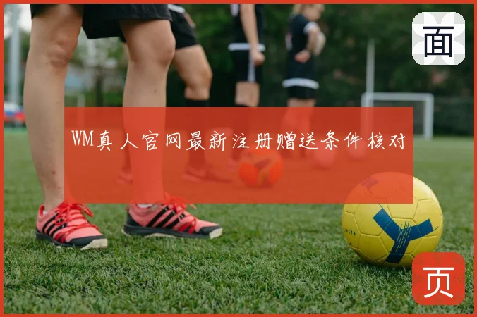 WM真人官网最新注册赠送条件核对